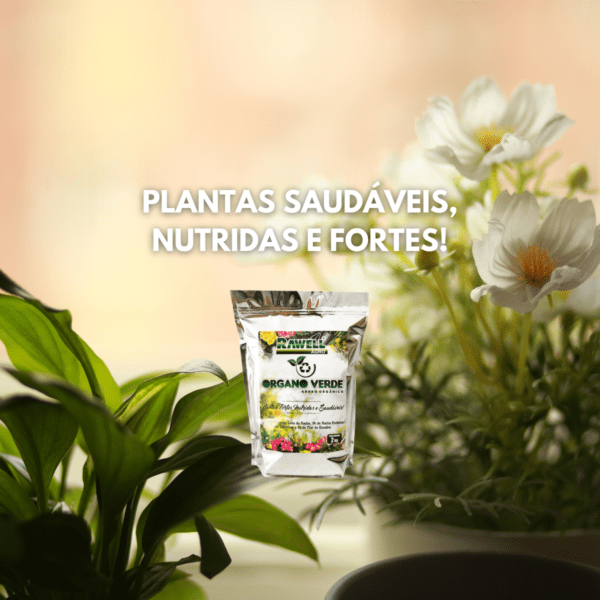 Organo Verde 2KG – Adubo Orgânico - Image 5