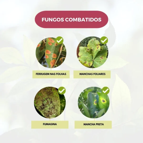 Bravick 240ml - Fungicida - Image 5