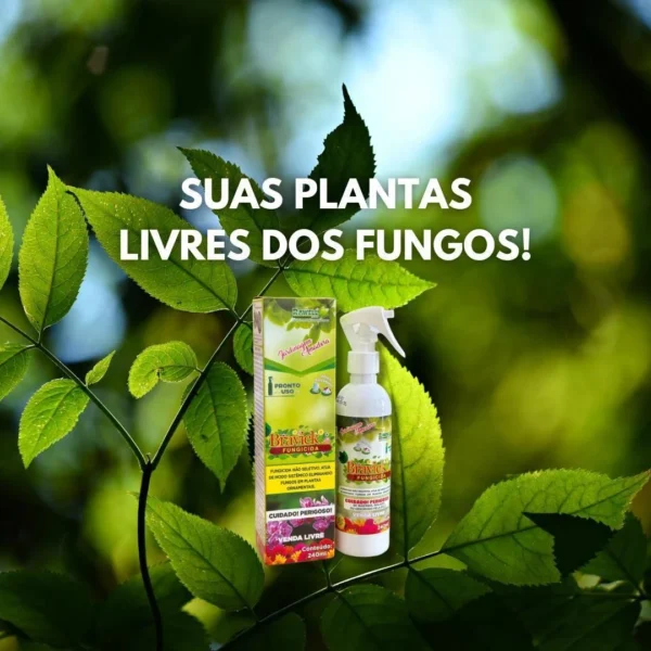 Bravick 240ml - Fungicida - Image 6